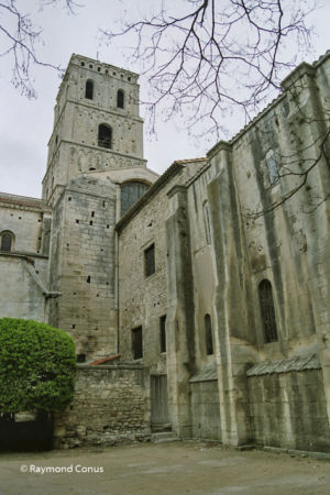 Camargue (23)