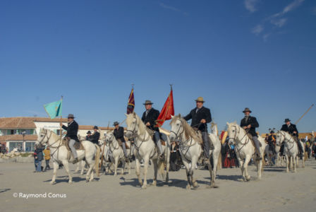 Camargue (30)