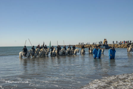 Camargue (31)