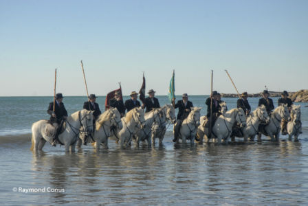 Camargue (32)
