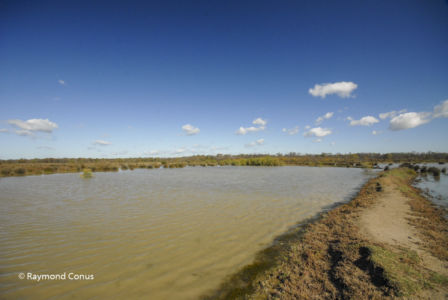 Camargue (42)