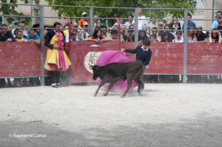 Camargue (45)