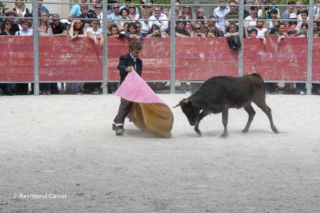 Camargue (46)