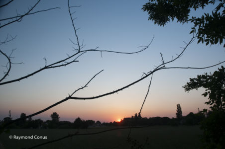 Camargue (49)