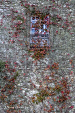 Camargue (4)