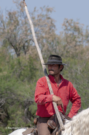 Camargue (53)