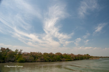 Camargue (56)