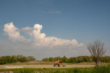 Camargue (59)