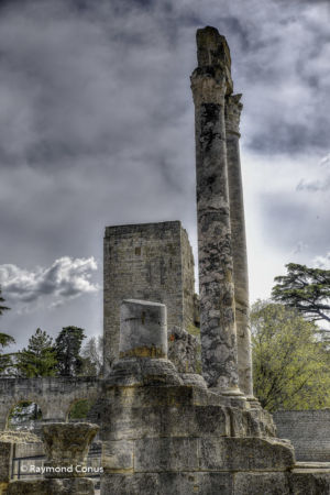 Camargue (63)