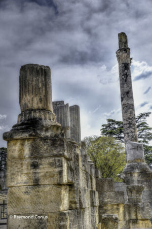 Camargue (64)