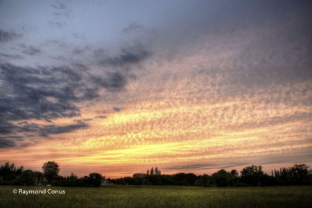 Camargue (68)