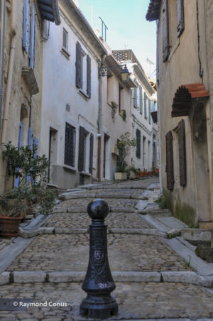 Camargue (6)