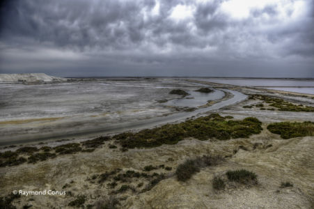 Camargue (72)