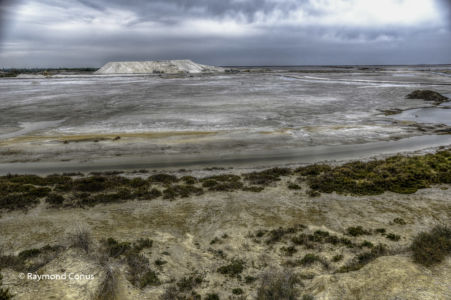 Camargue (73)