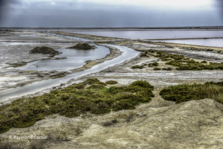 Camargue (74)