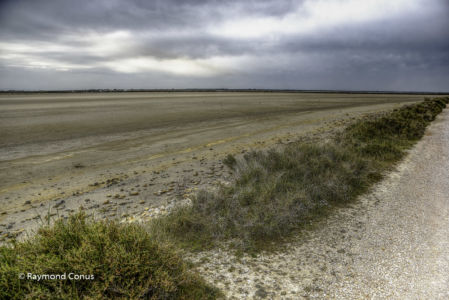 Camargue (76)