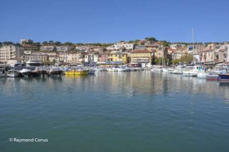 Camargue (7)