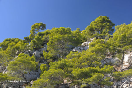 Camargue (8)