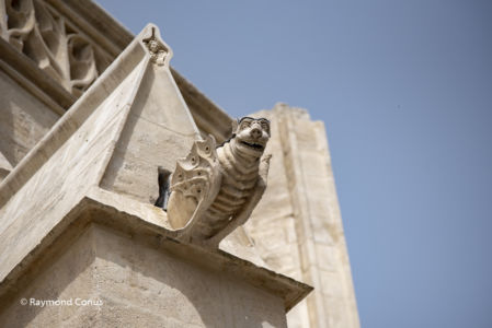Camargue (96)