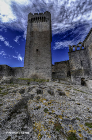 Camargue (98)