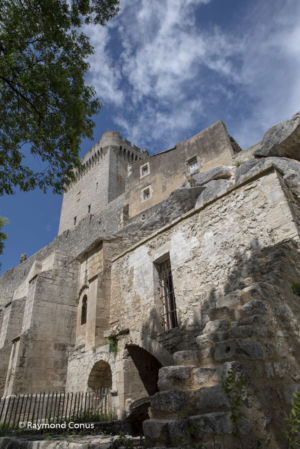 Camargue (99)