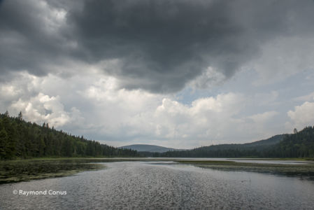 Canada (25)