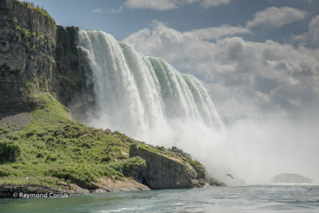 Canada (59)