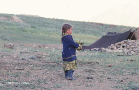 Kurdistan, 1978