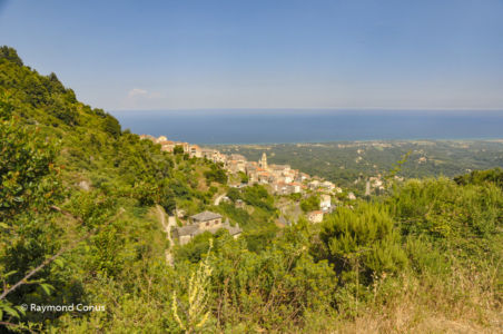 Corse (12)