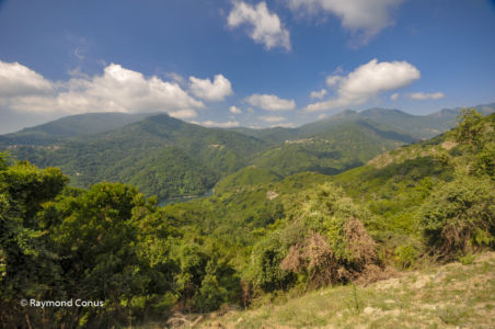 Corse (19)