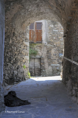 Corse (27)