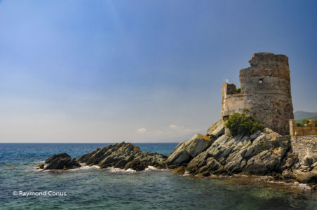 Corse (31)