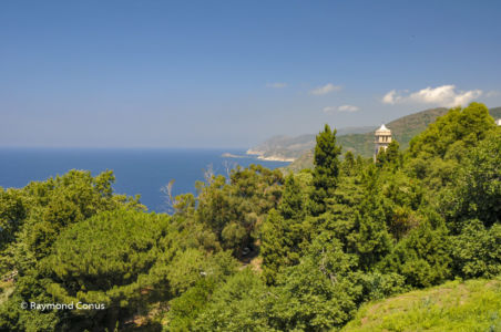 Corse (36)
