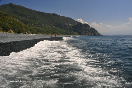 Corse (40)