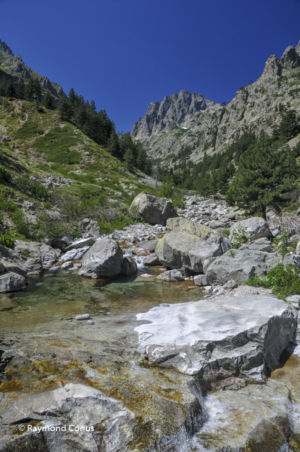 Corse (43)