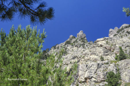Corse (44)
