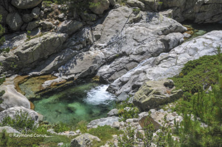 Corse (45)