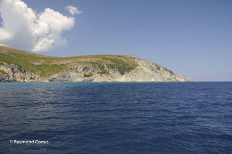 Corse (62)