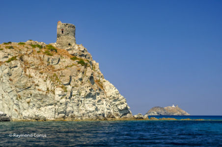 Corse (63)