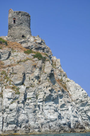 Corse (64)