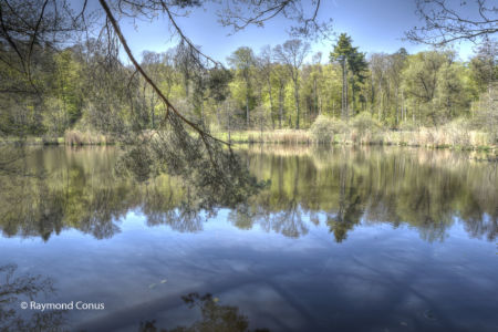 Creux de terre (10)