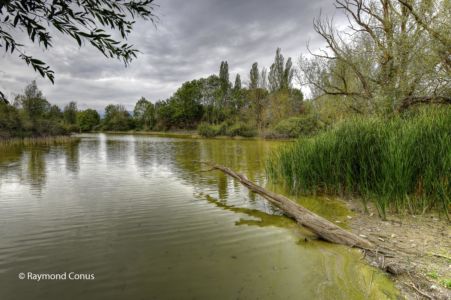 Creux de terre (21)