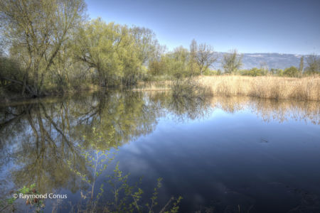 Creux de terre (5)