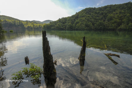 Croatia (31)