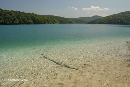 Croatia (41)