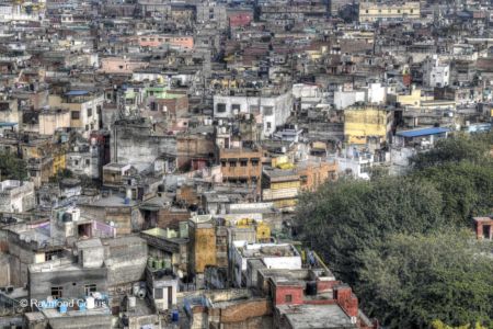 Delhi (88)