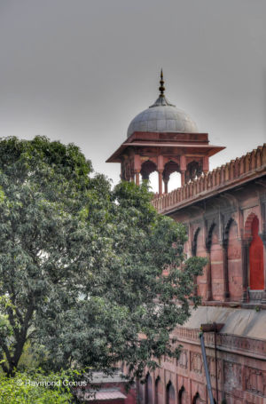 Delhi (94)