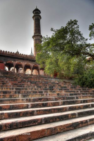 Delhi (96)