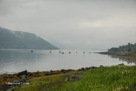 Ecosse (13)