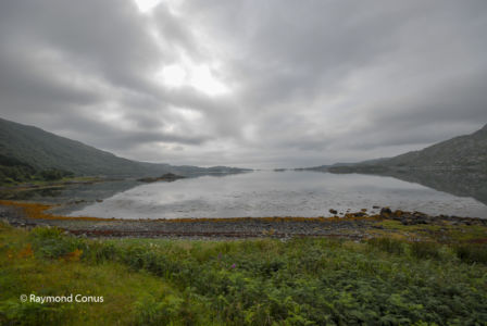 Ecosse (15)